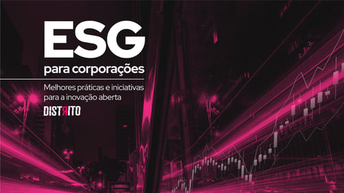 ESG para Corporações