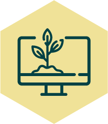 icon_Internet das Coisas para o Agro- detecção de pragas, solo, clima e irrigação